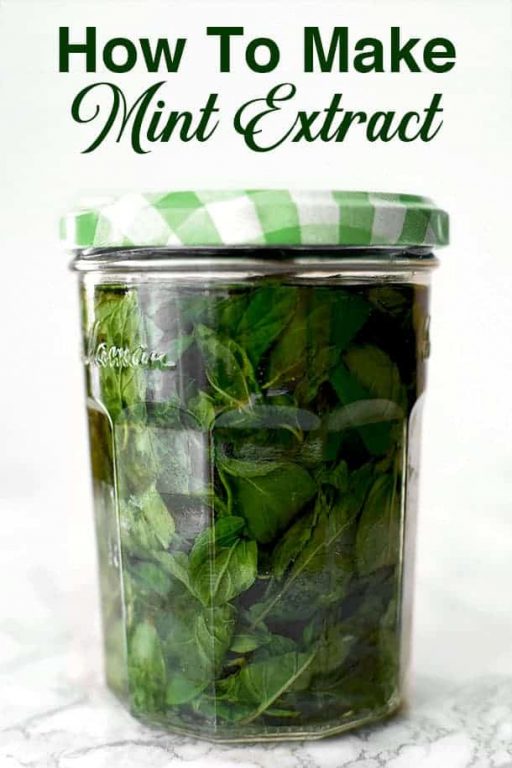How to Make Mint Extract The Taste of Kosher